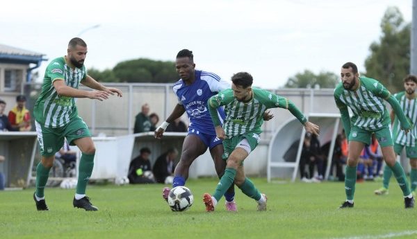 img_691988449c8028.53598892