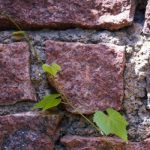 Pierre Hurmic, maire de Bordeaux : « J’ai été en avance sur mon temps »